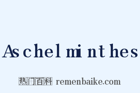 Aschelminthes是什么意思的图片